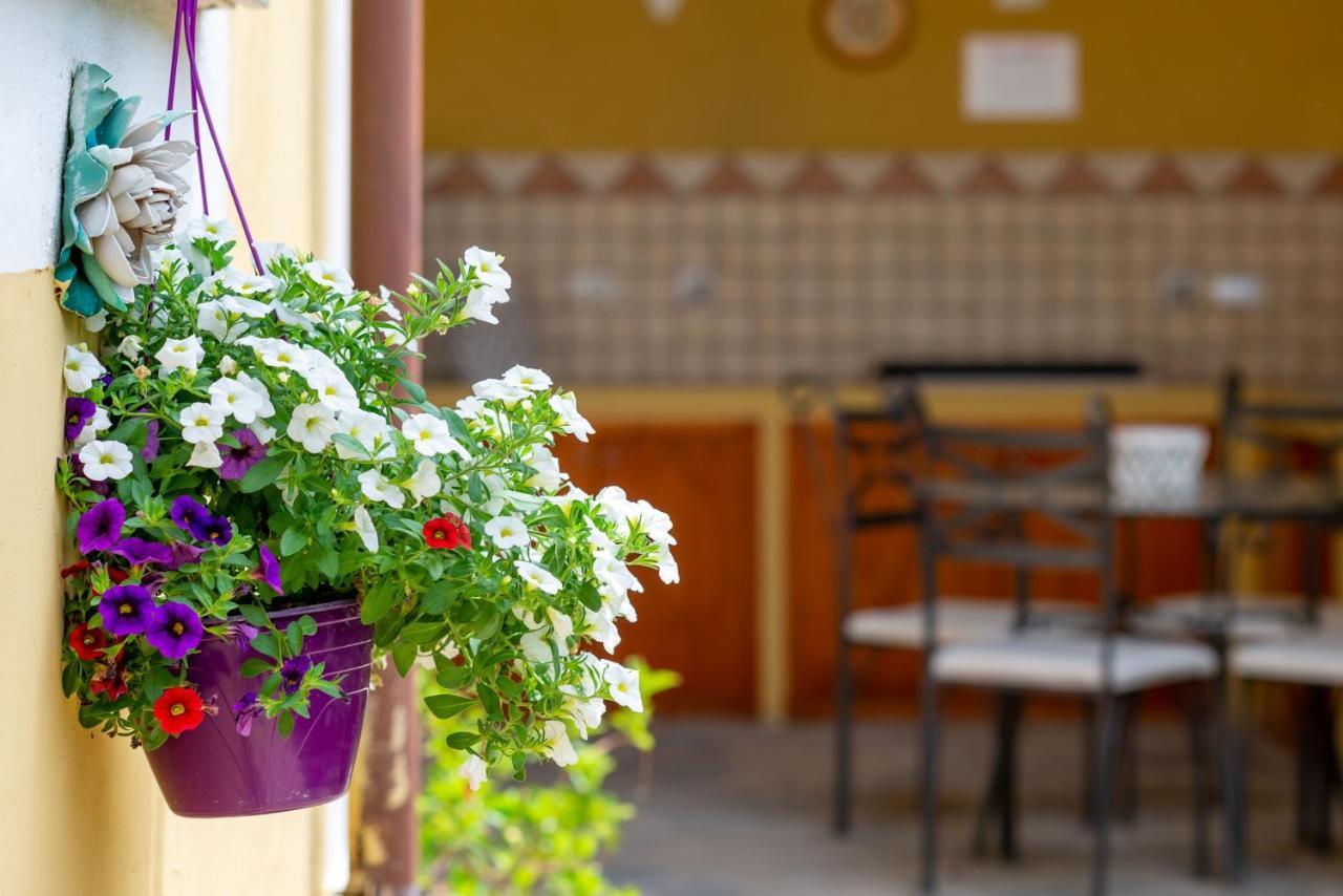 Villa Martina Agropoli Esterno foto